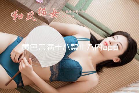 黄色未满十八禁止入内app